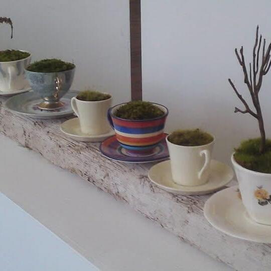 Tea Party 