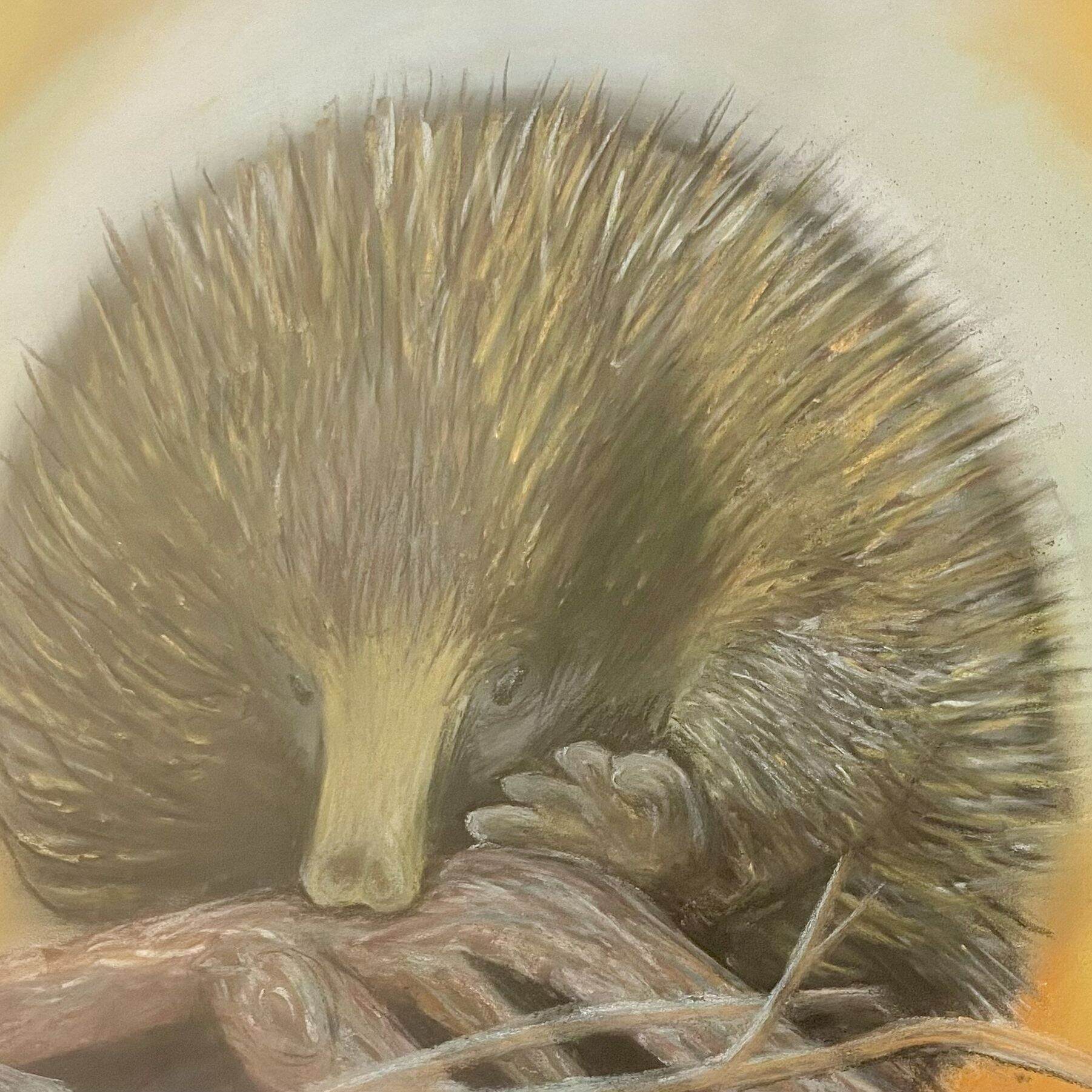 echidna
