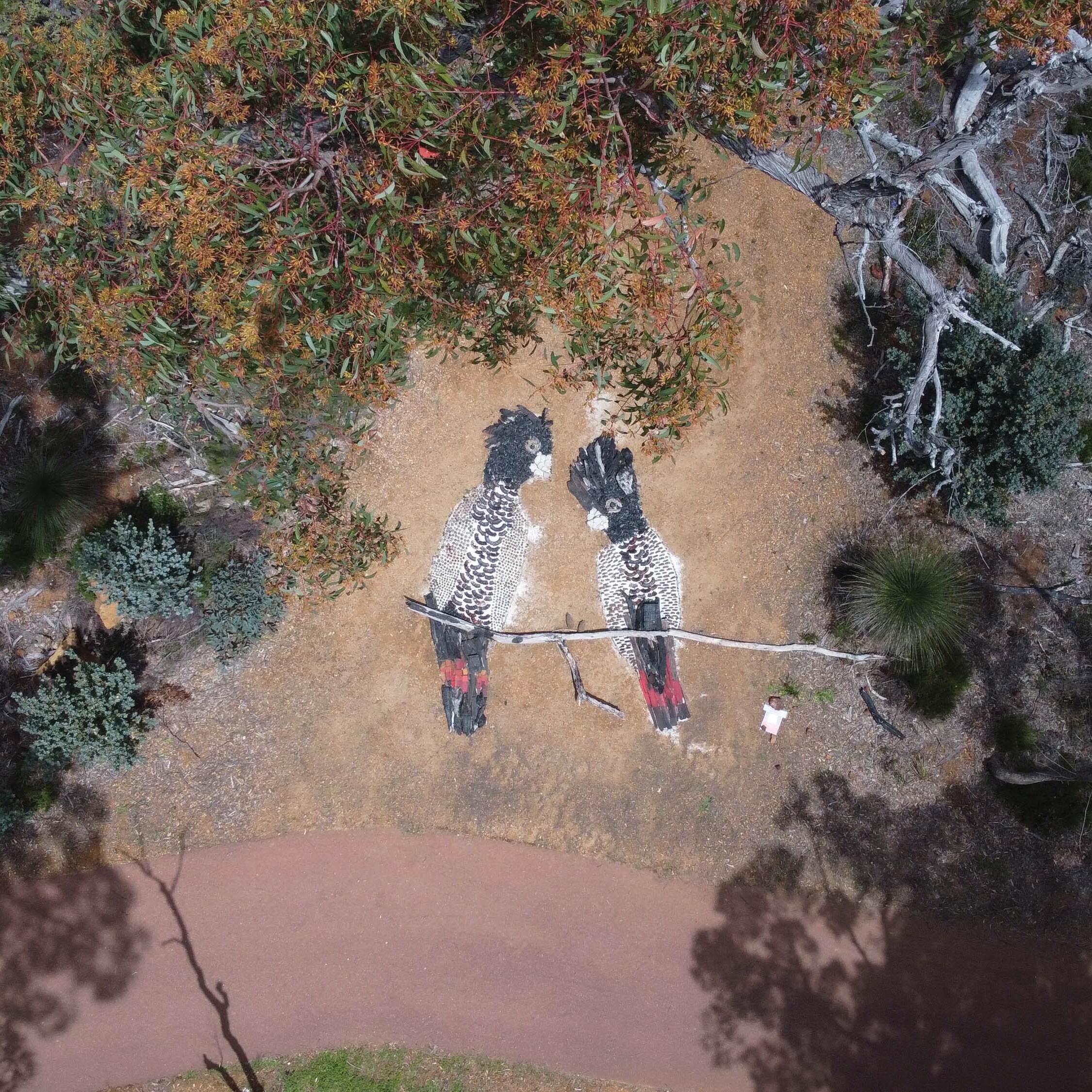 Lark Sophia Soon We'll Be Gone From Above 